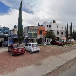 Jaan DiseÑo Floral