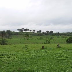 Jaltepec De Candayoc