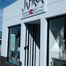 Janaya Flores Y Eventos