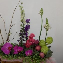 Janet Poulain Fleuriste