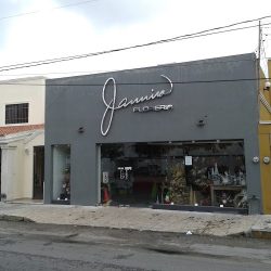 Jannina FlorerÍa
