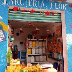 Jarcieria Flor