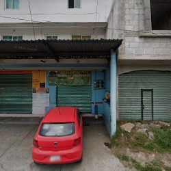 Jardi Ma