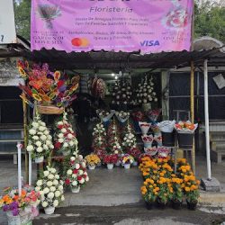 Jardin De Las Flores Floristeria