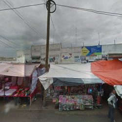 Jardín De Los Sueños