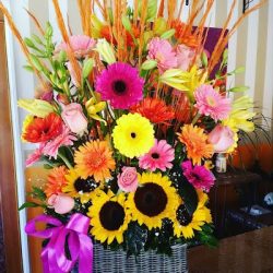 Jardín Floral