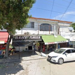 Jardin Floreria