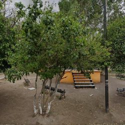 Jardín Principal