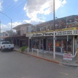 Jardines Florería