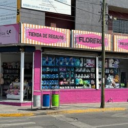 Jari Flower Shop Irapuato
