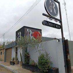 Jr Flores Y Más