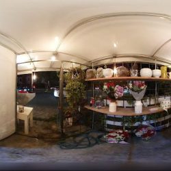 Juan Hernandez Magno Artista Floral