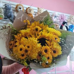 Kabo Petals