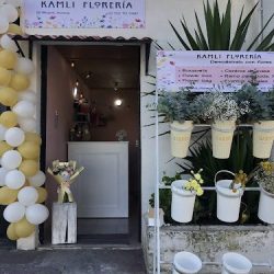 Kamli Florería