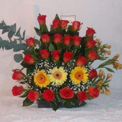 Karelly Casa-blanca Floreria