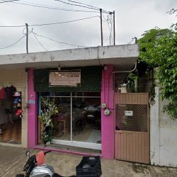 Karina García Flower Shop
