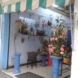 Kissi Arte Floral