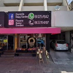 La Bella Orquidea