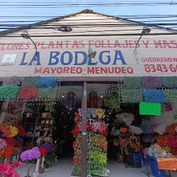 La Bodega Mayoreo Y Menudeo