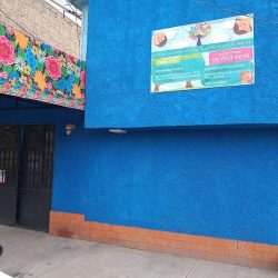 La Casa Azul Floristería & Plantas