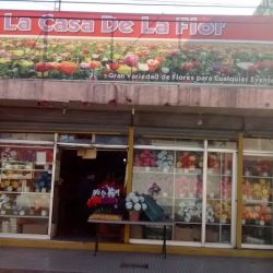 La Casa De La Flor