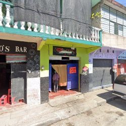 La Casa De Las Flores