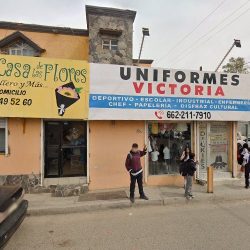 La Casa De Las Flores