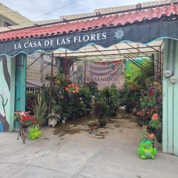 La Casa De Las Flores