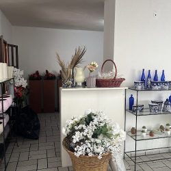 La Casa De Las Flores Colima