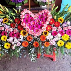 La Casa De Las Flores=floreria