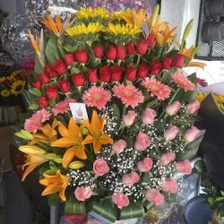 La Casita De Las Flores