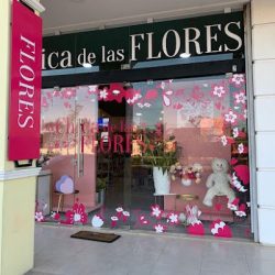 La Chica De Las Flores