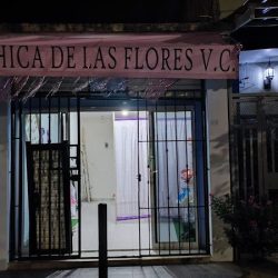 La Chica De Las Flores V.c.