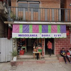 La Diosa Azteca