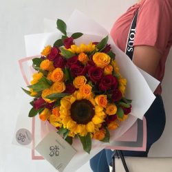 La Distribuidora Xalapa