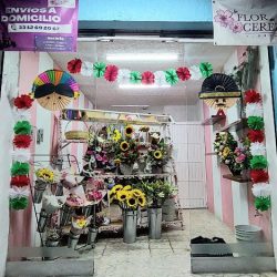 La Flor De Cerezo