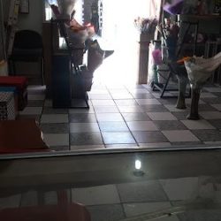 La Flor De Iromy