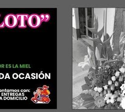 "la Flor De Loto"