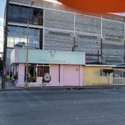 La Flor De Villa