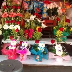 La Flor De Xochimilco
