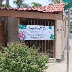 La Flor Mas Bella - Boutique De Flores