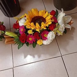 La Flor Más Bella De Calacoaya