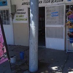 La Florería D'tití