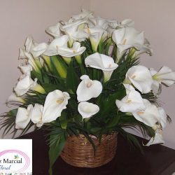 La Floristería Mexicana
