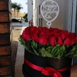 La Gardenia Y El Paraíso