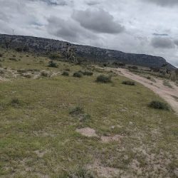 La Hierba De Matancillas