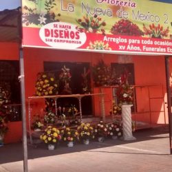 La Nueva De México 2