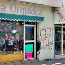 La Orquídea
