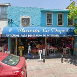 La Orquidea