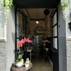 La Orquídea (boutique Floral)